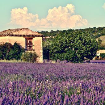 Les Plus Belles Regions De France Nexity