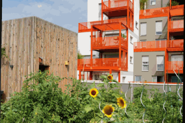 vue de jardin avec immeuble 
