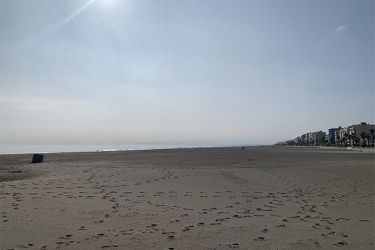 Plage de Canet en Roussillon
