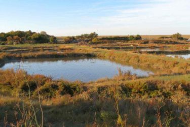 Maré salant de nieul sur mer 
