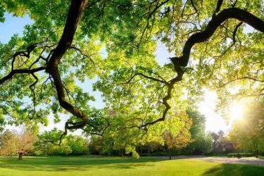 jardins du lac à theix