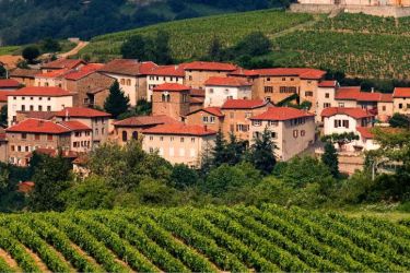 Vue sur un village du Beaujolais avec vignes
