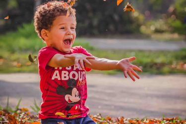 Engagements durables Nexity