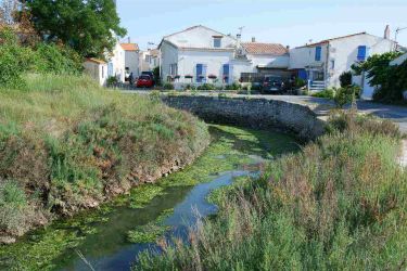 Vue sur le ruisseau à Nieul-sur-mer au milieu des habitations
