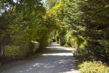 Balade à Nogent sur Marne 

