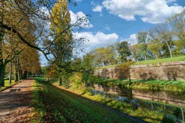 Vue sur le quartier de Robertsau à Strasbourg