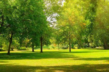 les jardins du lac de la ville de theix