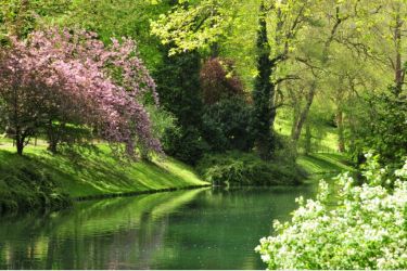 Parc de Poissy, ville au sein des Yvelines où Nexity propose de nombreux programmes immobiliers.