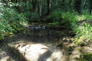 Jardin d'eau à Pagny 
